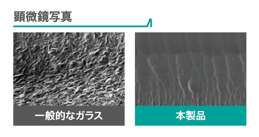 顕微鏡写真イメージ